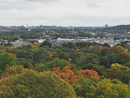 a view of a city with a mountain in the background