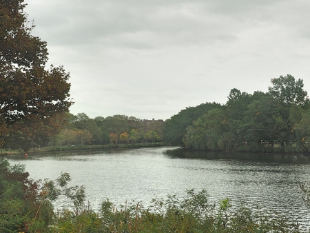 nature pond view