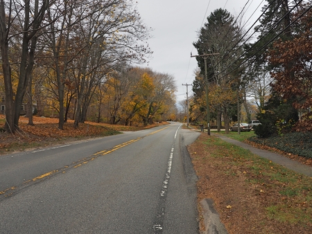 a path with trees on the roadsideの写真素材