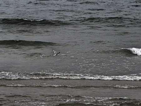 ocean sceneryの写真素材
