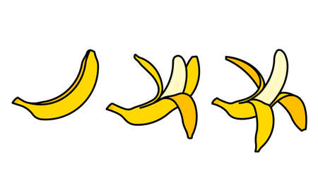 Bananas icons - whole banana, peeled banana, ready to eat banana. Set of fruits on white background. Modern illustration, group of icons.のイラスト素材