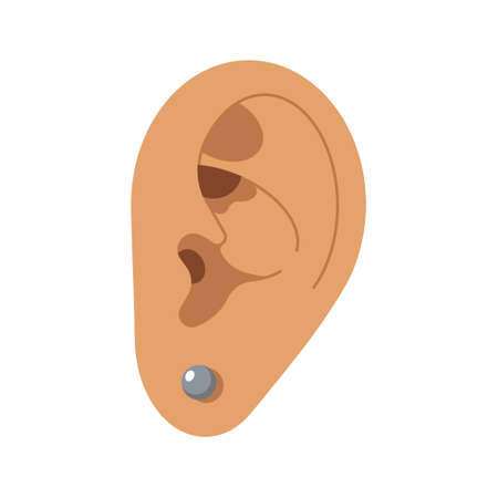 Ear with a silver earring. Piercing. Auricle. Organ of hearing. Vector isolated illustration.のイラスト素材