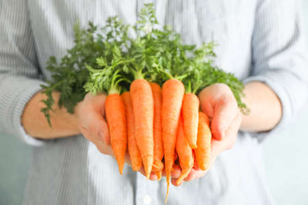 Farmer man holding ripe carrots with tops in his handsの写真素材