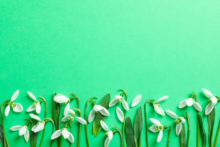 Beautiful spring snowdrop flowers on color background, space for textの写真素材