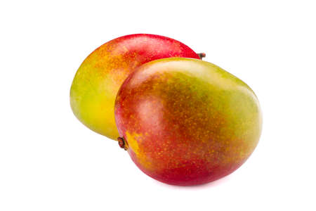 Fresh tropical mangoes isolated on white backgroundの写真素材