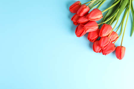 Bouquet of beautiful red tulips with green leaves on color background, space for text