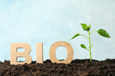 Inscription bio and green sprout in black soil against light background, space for text....