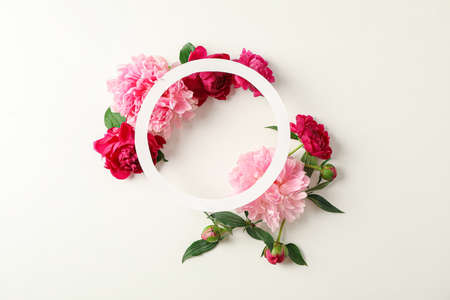 Flat lay composition with beautiful peonies and white circle in the center on white background, space for text and top viewの写真素材