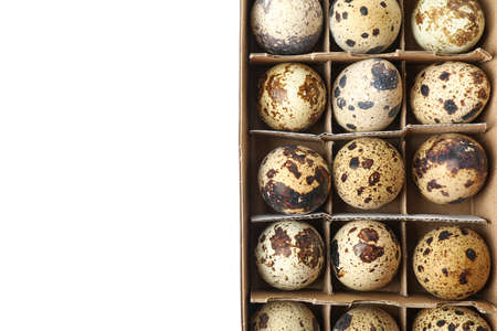 Quail eggs in carton box isolated on white background, top viewの写真素材