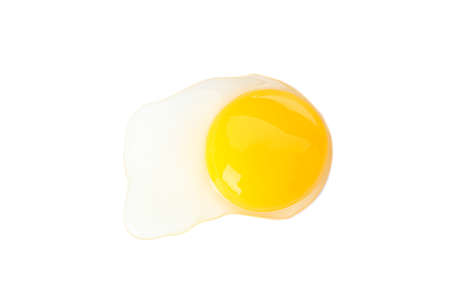 Raw egg yolk isolated on white backgroundの写真素材