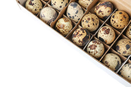 Quail eggs in carton box isolated on white background, top viewの写真素材