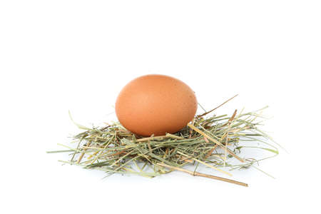 Brown chicken egg on straw isolated on white backgroundの写真素材