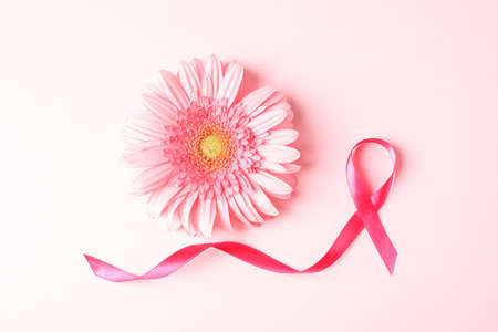 Pink awareness ribbon and gerbera color background, space for textの写真素材