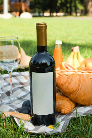 Picnic composition with wine and food against green grass, space for textの写真素材