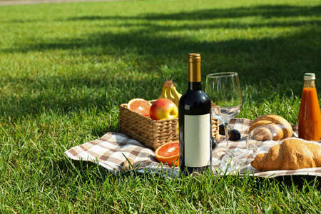 Picnic composition with wine and food against green grass, space for textの写真素材