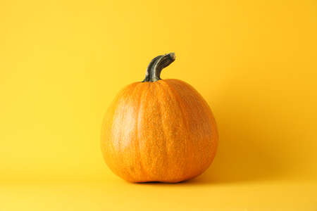Pumpkin on yellow background, space for textの写真素材