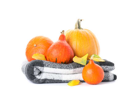 Pumpkins, plaid and leaves isolated on white backgroundの写真素材