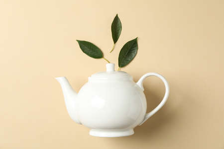 White teapot and leaves on color background, space for text