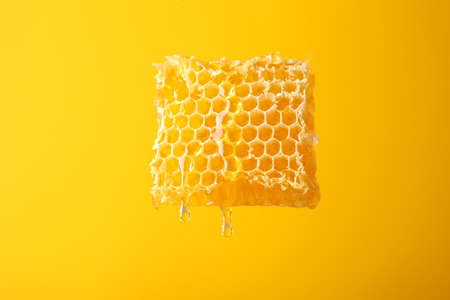 Honeycomb against yellow background, copy spaceの素材 [FY310131160822]