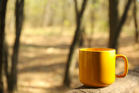 Yellow cup on board. Beautiful forest, space for textの写真素材