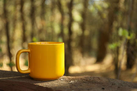 Yellow cup on board. Beautiful forest, space for textの写真素材