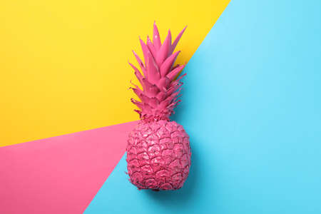Painted pink pineapple on multicolor background, space for textの写真素材