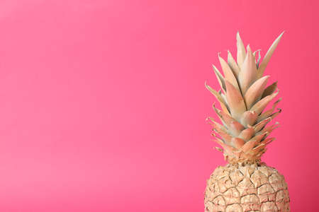 Painted gold pineapple on pink background, space for textの写真素材