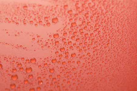 Many water drops on red background. Texture background.の写真素材