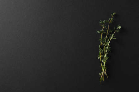 Thyme branches on black background, space for textの写真素材