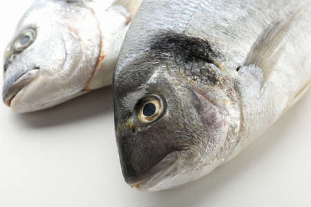 Fresh Dorado fishes on white background, close upの写真素材