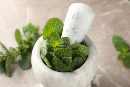 Mortar, pestle and mint on grey background, close up