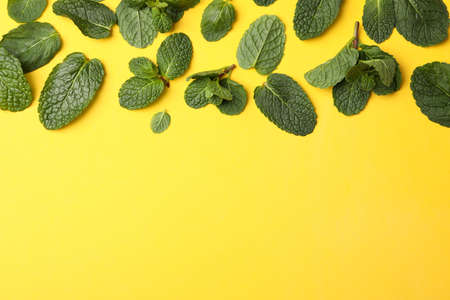 Frame of mint on yellow background, space for text