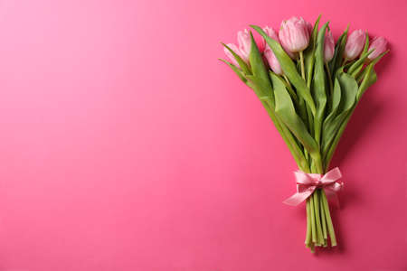 Bouquet of pink tulips on pink background, space for textの写真素材