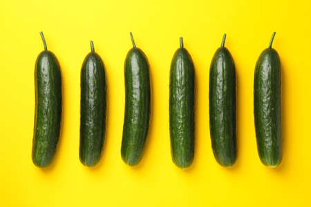 Flat lay with cucumbers on yellow background, top viewの写真素材