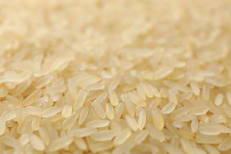 Rice texture background, close up and macroの写真素材
