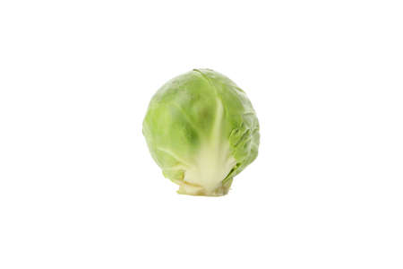 Single brussels sprout isolated on white backgroundの写真素材