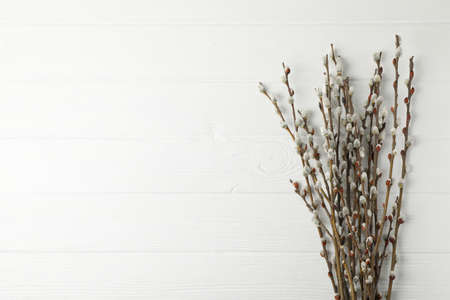 Pussy willow branches with catkins on wooden background, space for textの写真素材