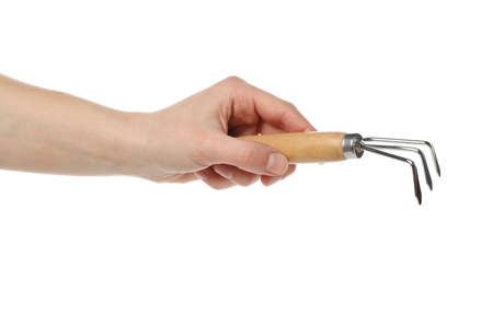 Person holds small rake, isolated on white background