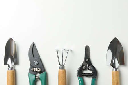 Gardening tools on white background, space for text