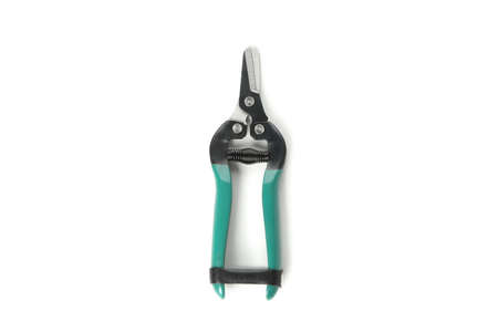 Green pruning shears isolated on white background