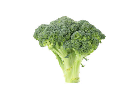 Broccoli isolated on white background. Fresh vegetableの写真素材
