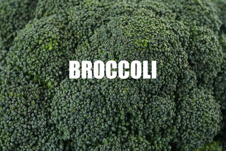 Broccoli on whole background, macro. Fresh vegetable