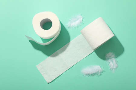 Toilet paper and feathers on mint background, top view