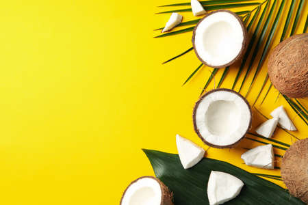 Coconut and palm branch on yellow background. Tropical fruitの写真素材