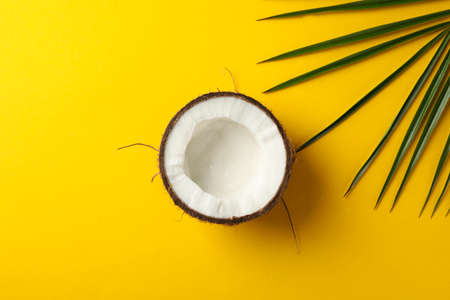 Half of coconut and palm leaf on yellow background, top viewの写真素材