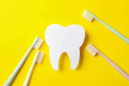 Toothbrushes and tooth on yellow background, top view