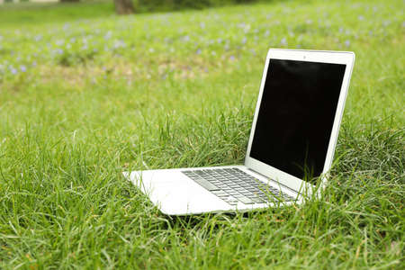 Laptop on green grass in park. Working outdoor