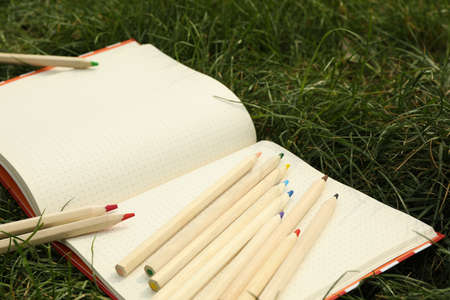 Copybook and colored pencils on green grass. Creativity