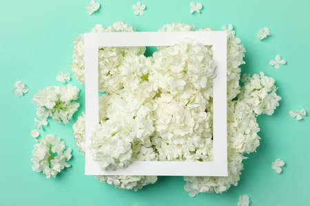 Frame and beautiful hydrangea flowers on mint backgroundの写真素材