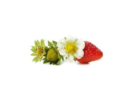 Tasty red strawberry isolated on white background. Summer berryの写真素材